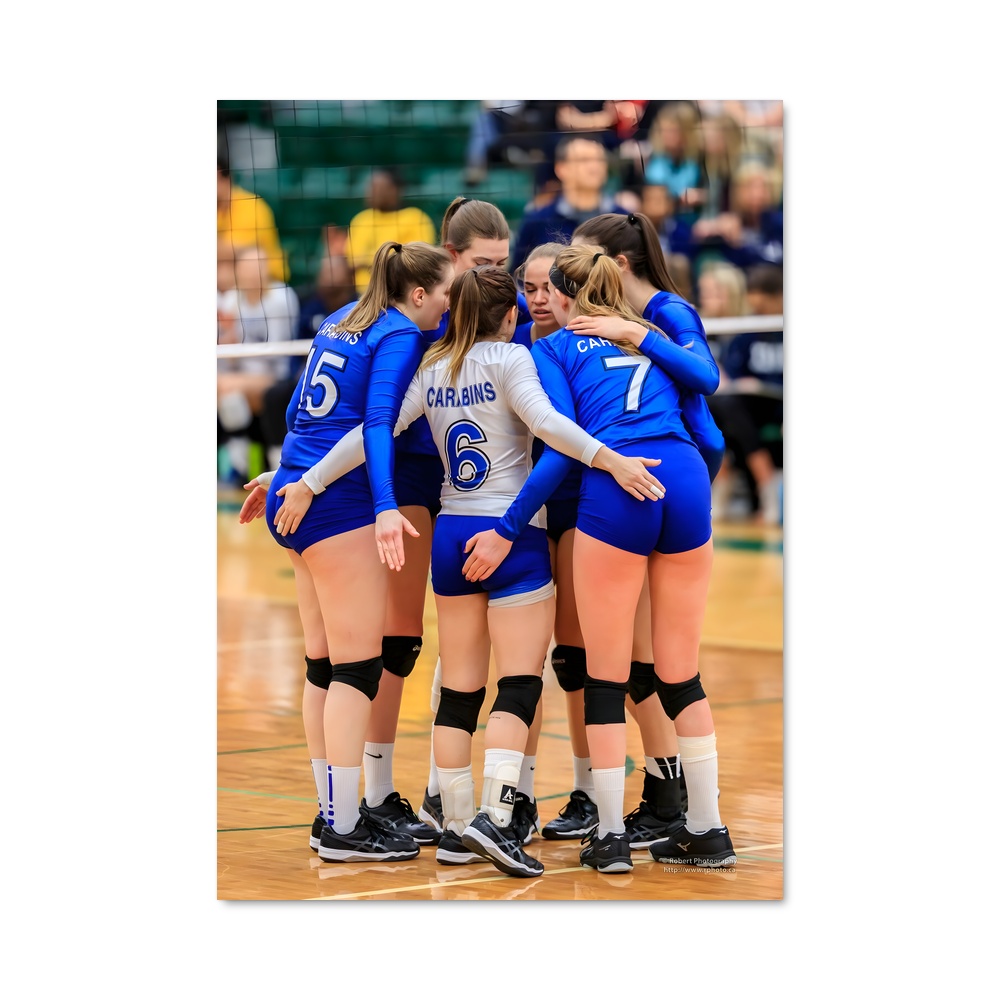 Poster Volleyball world regroupe